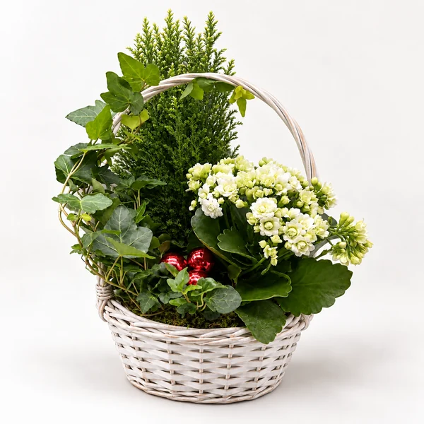 Liten julkorg